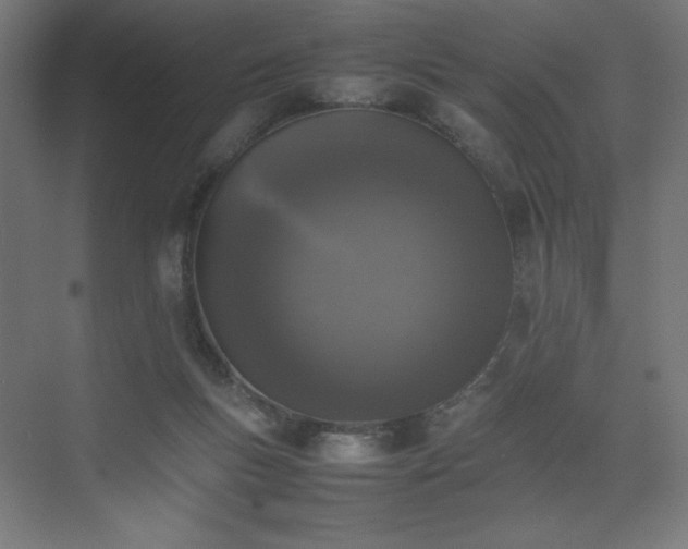 X0000074970167200609011225