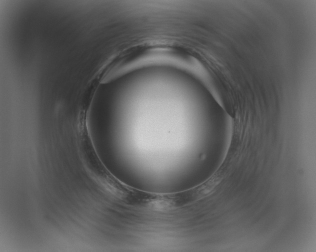 X0000074970168200609011225