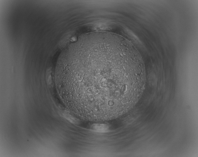 X0000074970169200609011225