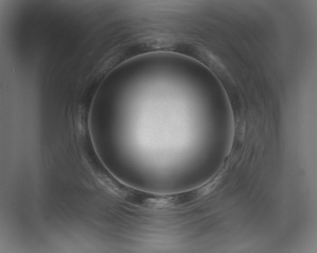 X0000074970170200609011225