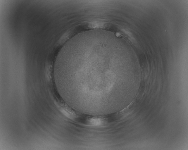 X0000074970171200609011225