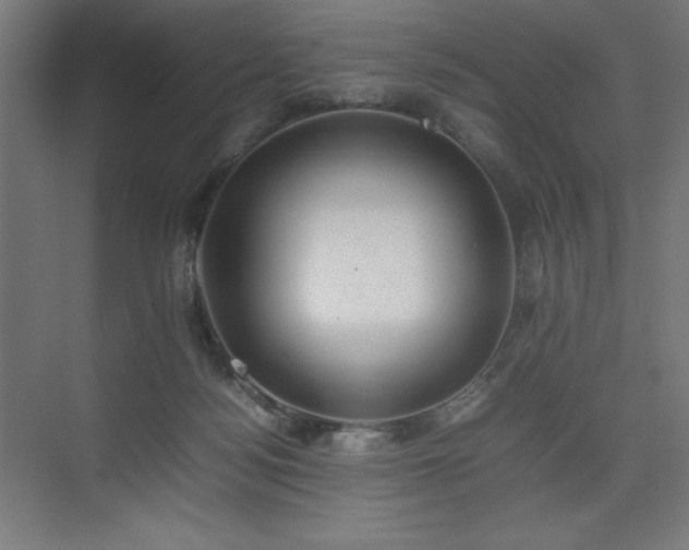 X0000074970172200609011225