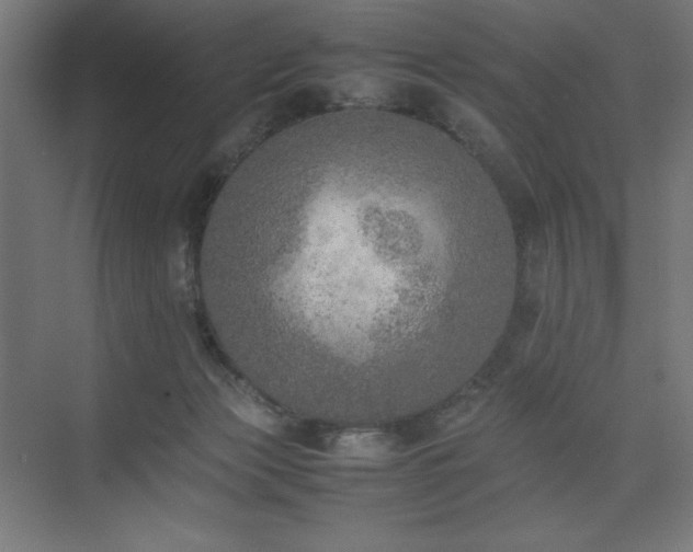 X0000074970173200609011225