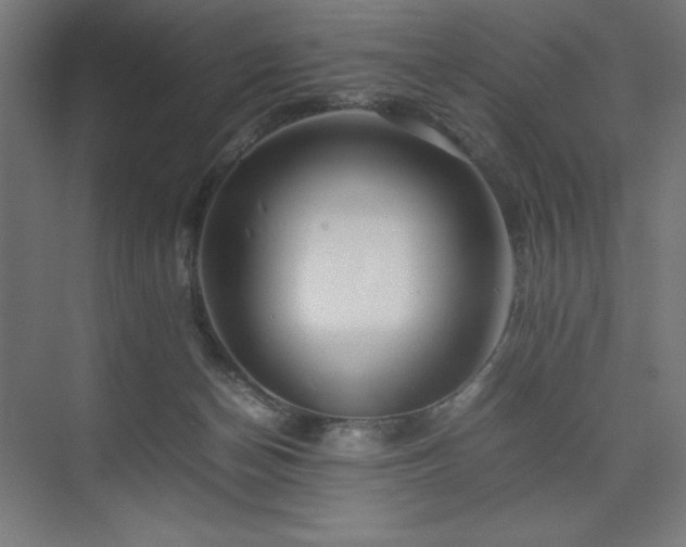 X0000074970174200609011225