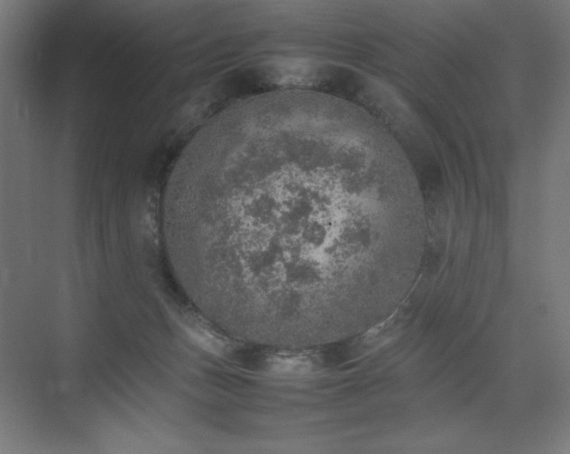 X0000074970175200609011225