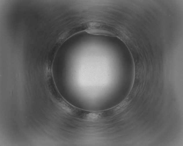 X0000074970176200609011225