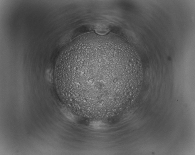 X0000074970177200609011225