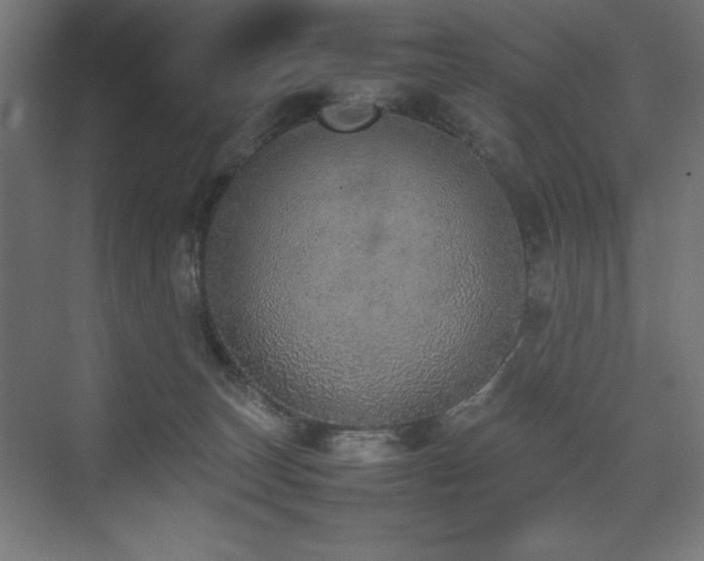 X0000074970179200609011225