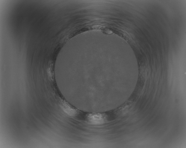 X0000074970181200609011225