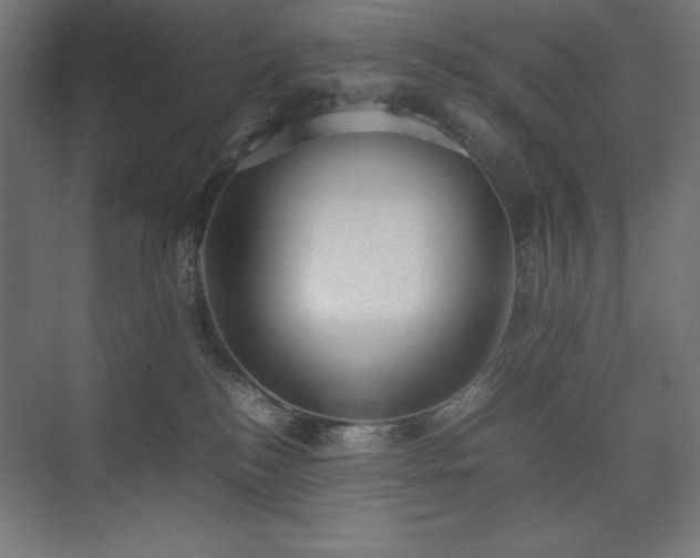 X0000074970184200609011225