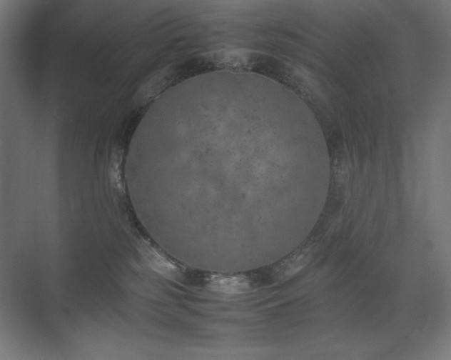 X0000074970185200609011225