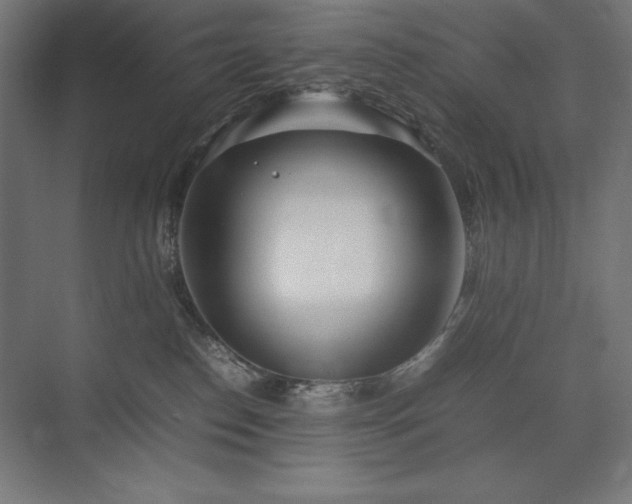 X0000074970186200609011225