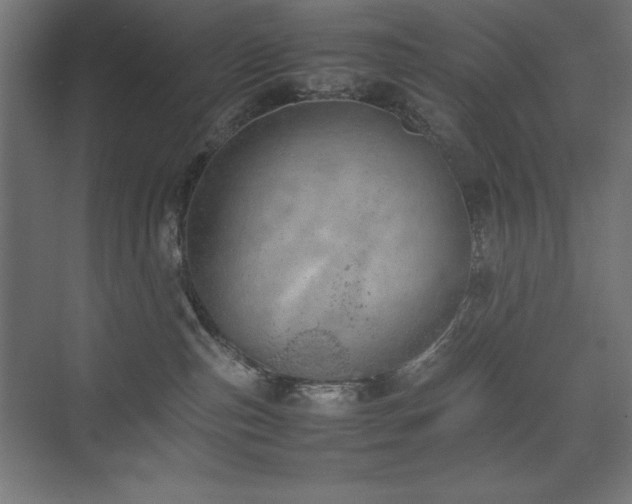 X0000074970187200609011225