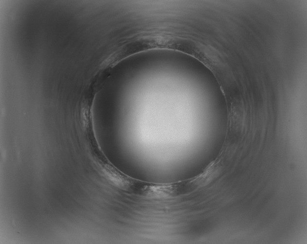 X0000074970188200609011225