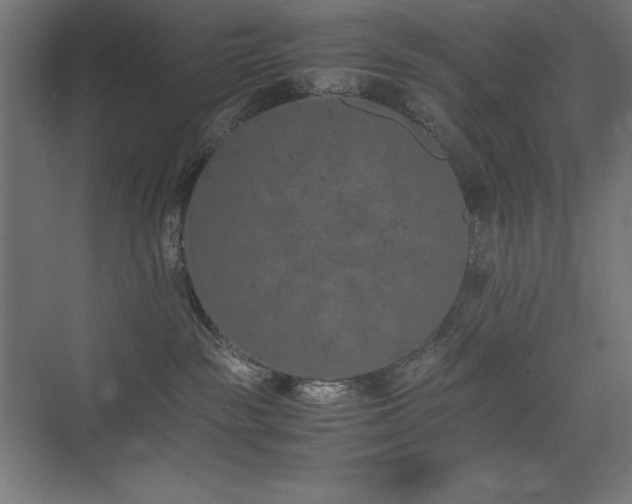 X0000074970189200609011225