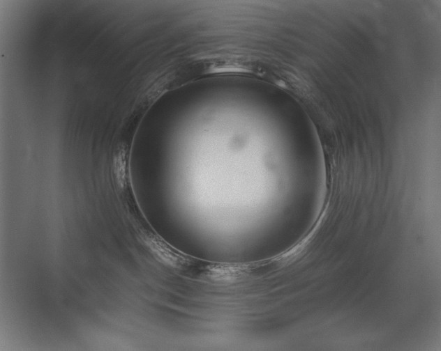 X0000074970190200609011225