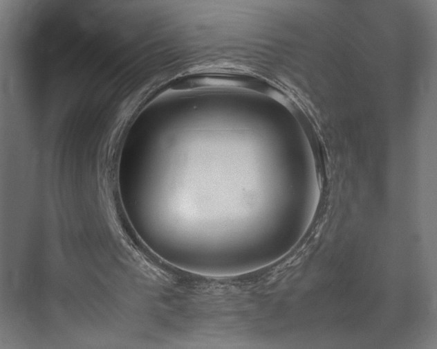 X0000074970193200609011225