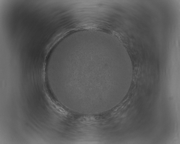 X0000074970194200609011225