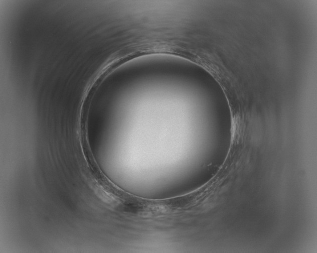 X0000074970195200609011224