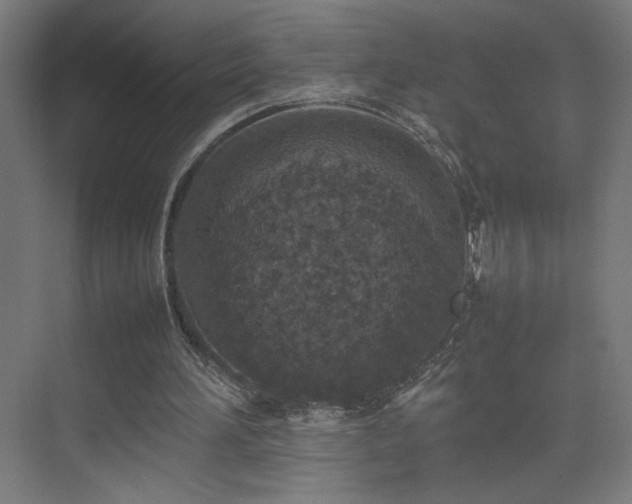 X0000074970196200609011224