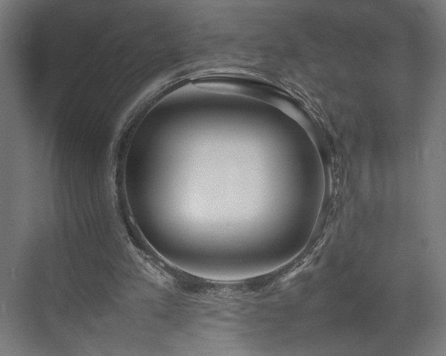 X0000074970197200609011224