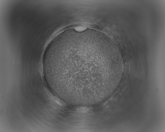 X0000074970198200609011224