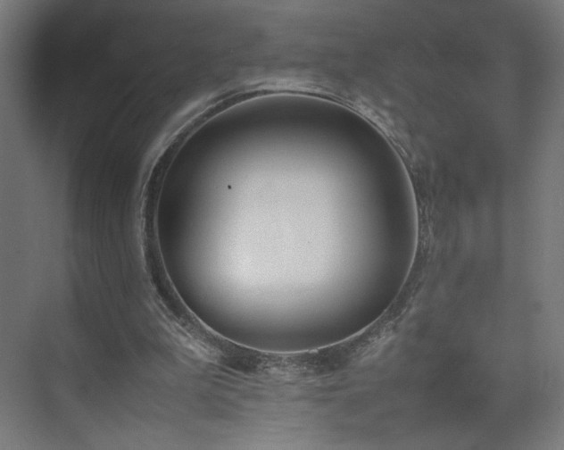 X0000074970199200609011224