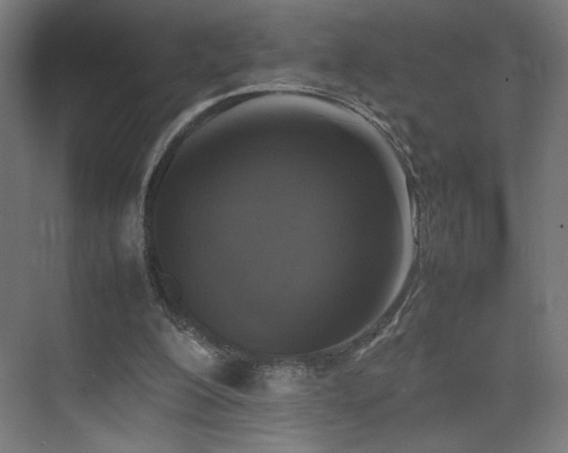 X0000074970200200609011224