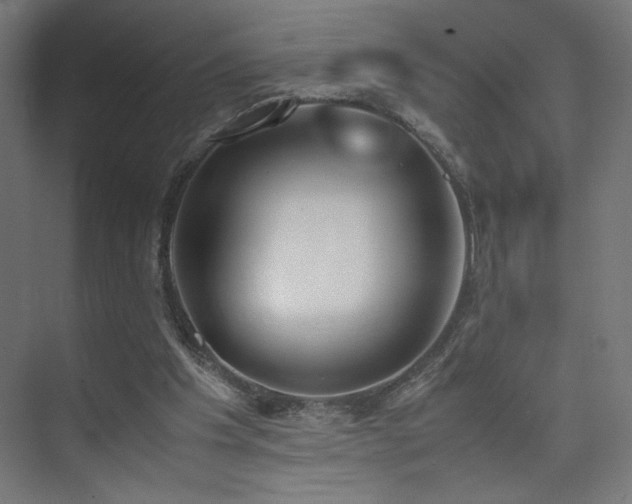 X0000074970201200609011224