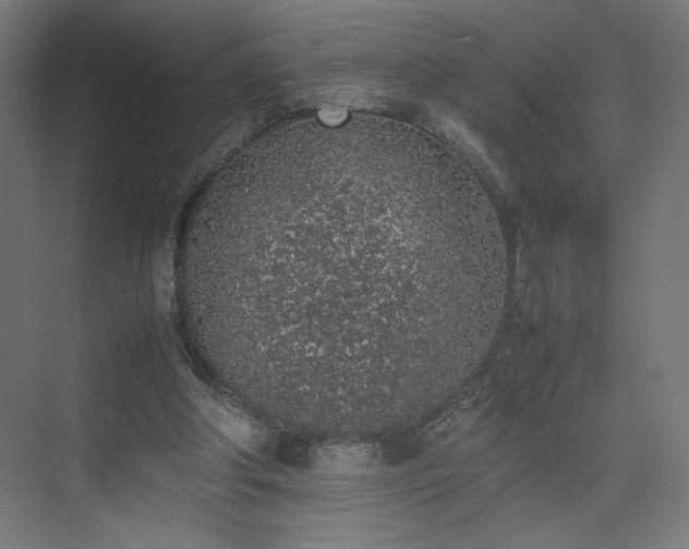 X0000074970202200609011224