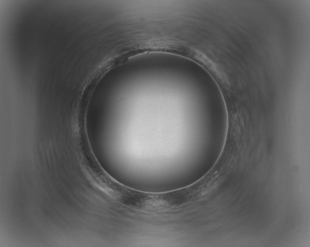 X0000074970203200609011224