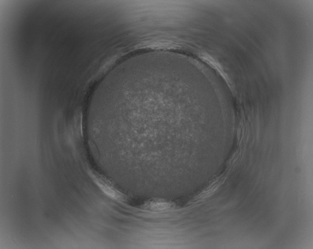 X0000074970205200609011224