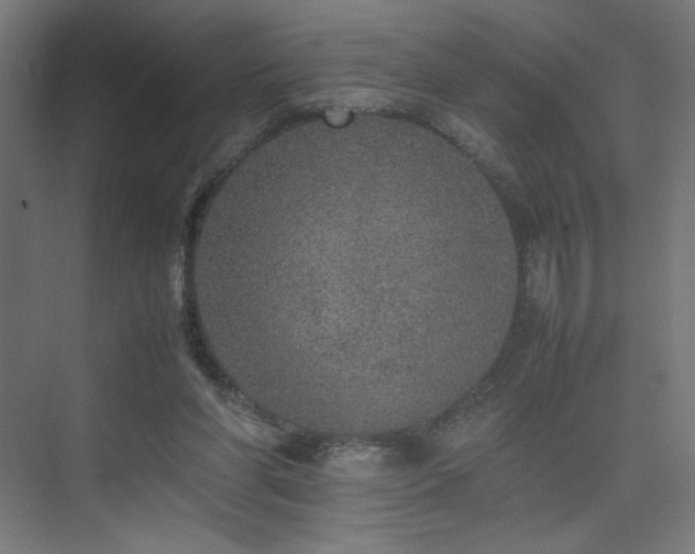 X0000074970206200609011224