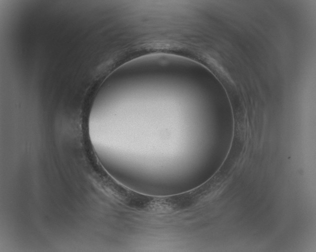 X0000074970207200609011224