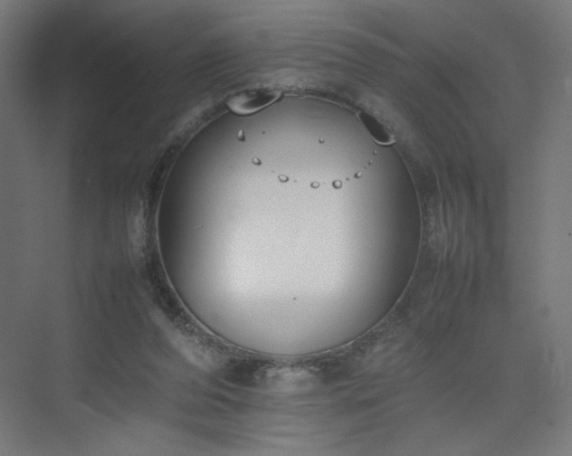 X0000074970208200609011224