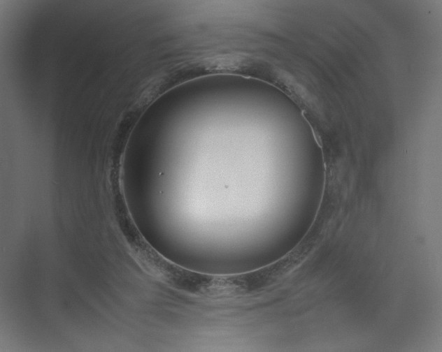 X0000074970209200609011224