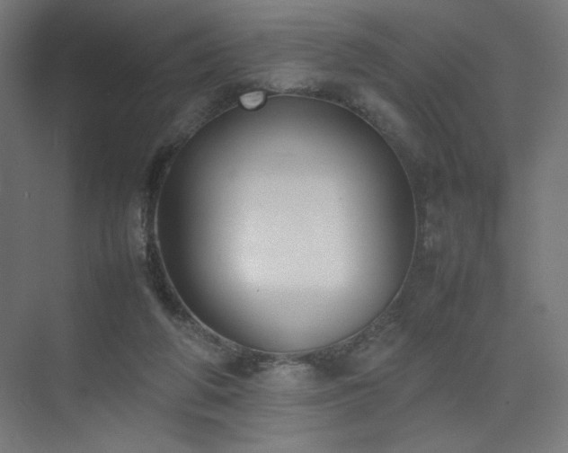 X0000074970210200609011224