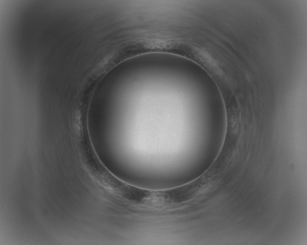 X0000074970211200609011224