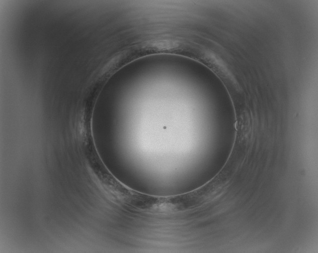 X0000074970212200609011224