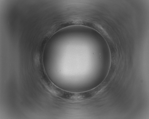 X0000074970213200609011224