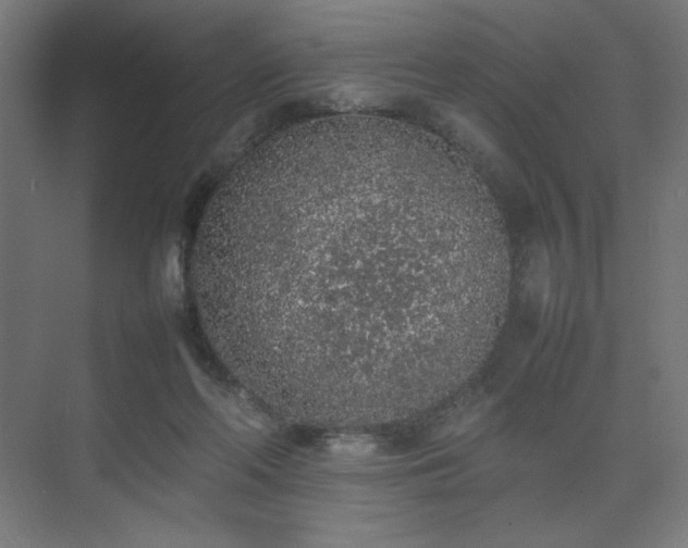 X0000074970214200609011224