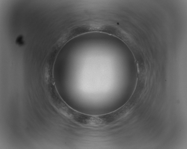 X0000074970215200609011224