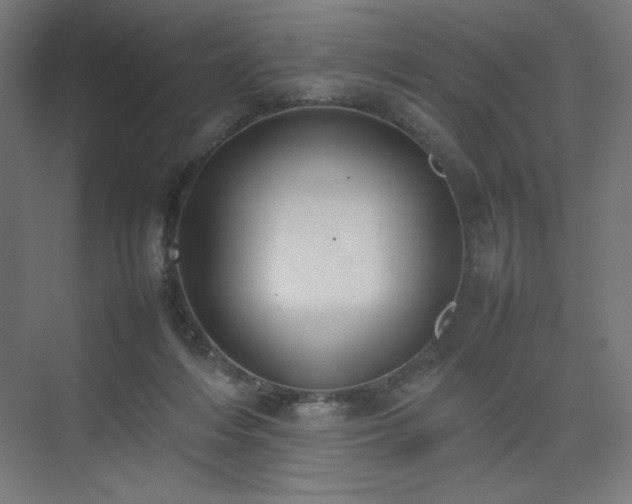 X0000074970216200609011224