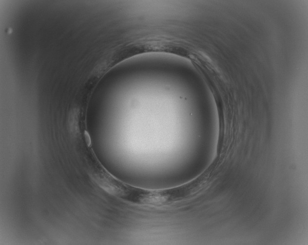 X0000074970217200609011224