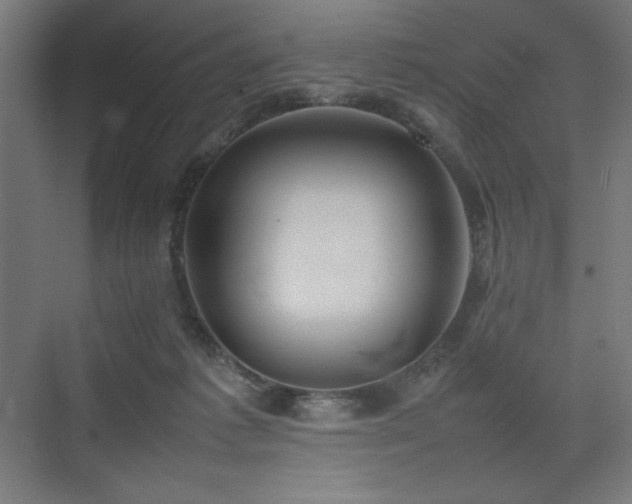 X0000074970221200609011224