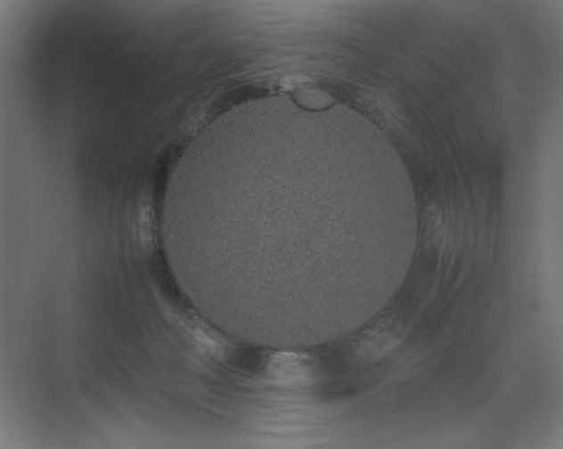 X0000074970222200609011224