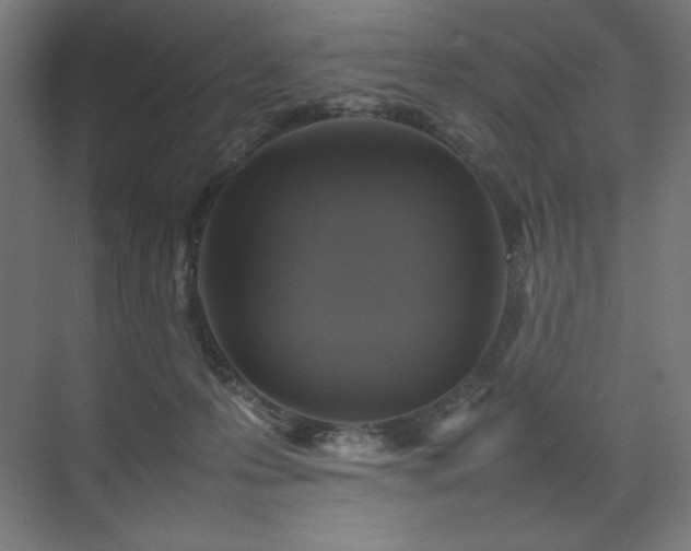 X0000074970223200609011224