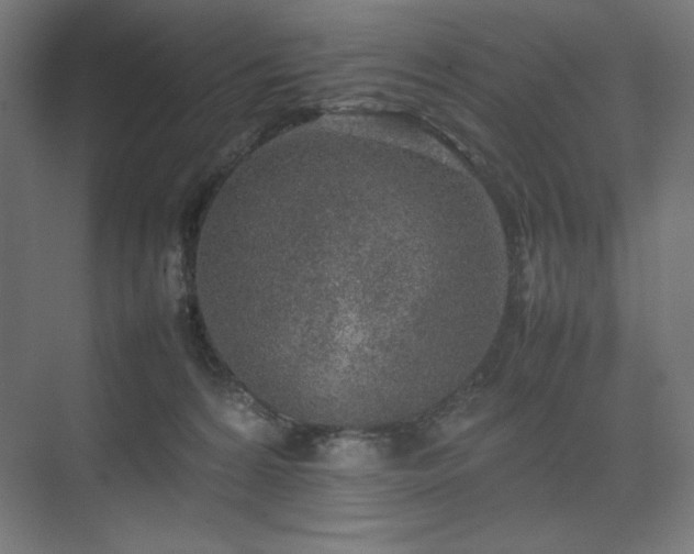 X0000074970224200609011224