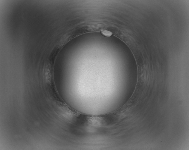 X0000074970226200609011224