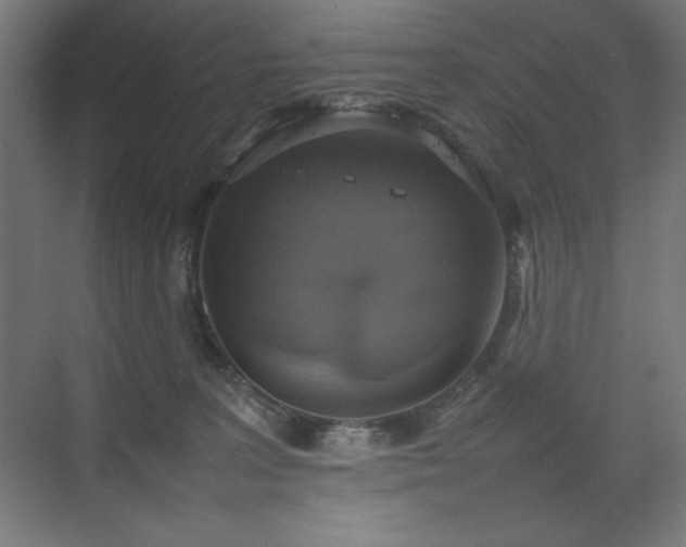 X0000074970227200609011224